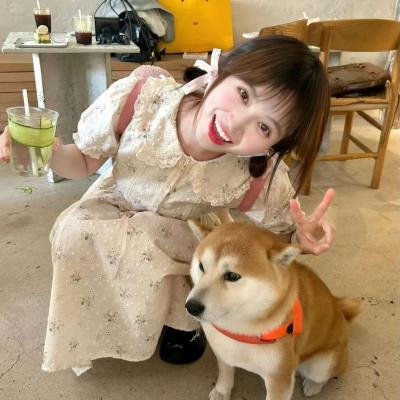 阿宝的故事